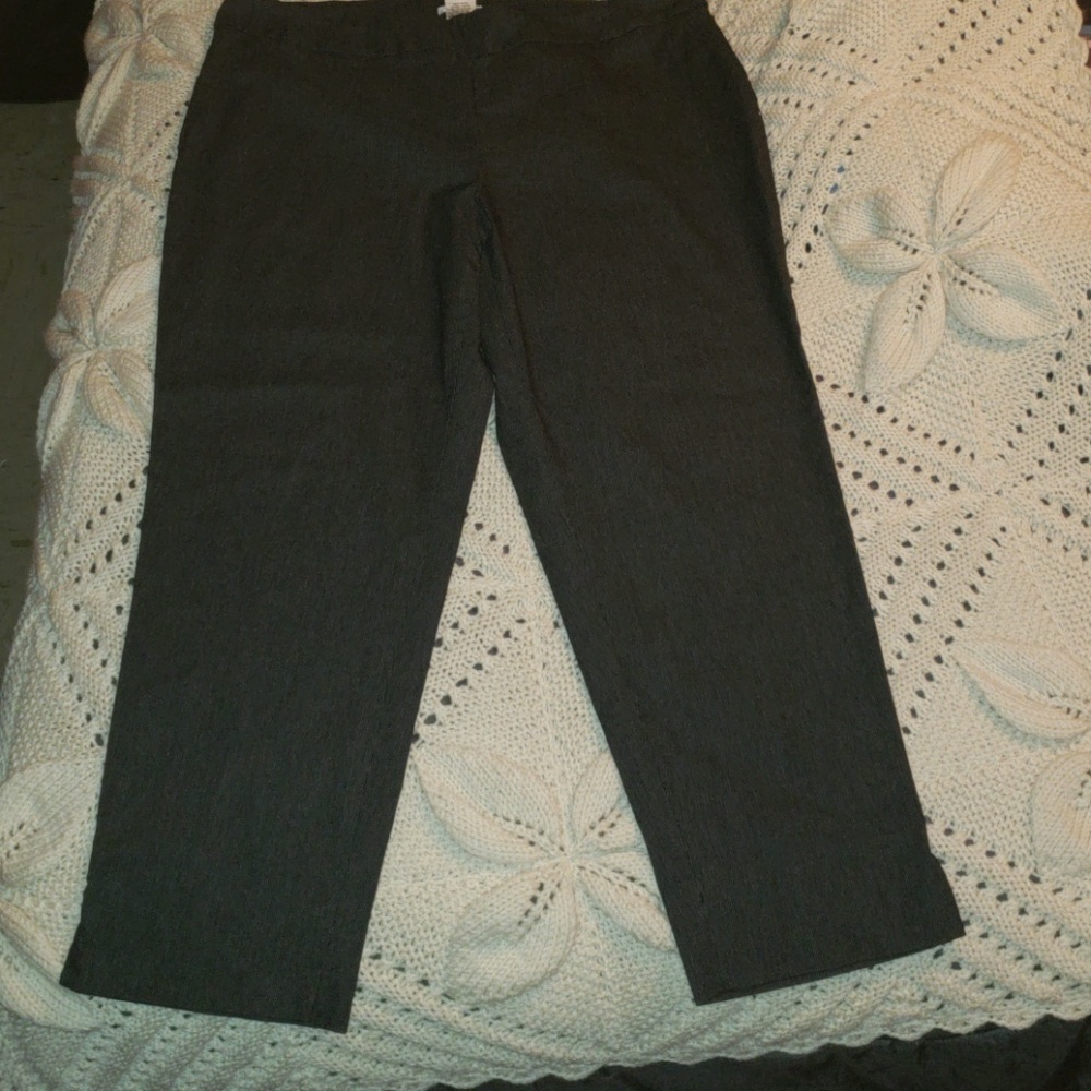 Dalia Collection capri pants